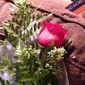 Joy Reiss Harrell's photo