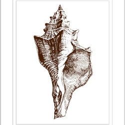 Chocolate Conch Shell - Artwork