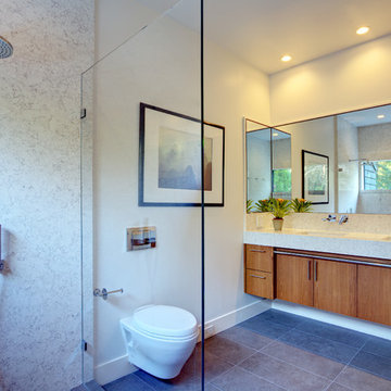Mill Valley Bathroom Remodel