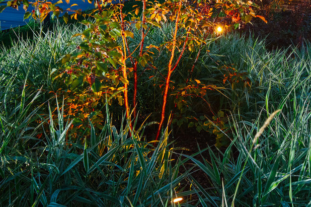 Современный  by Татьяна Звёздочкина/Студия VENUS DESIGN