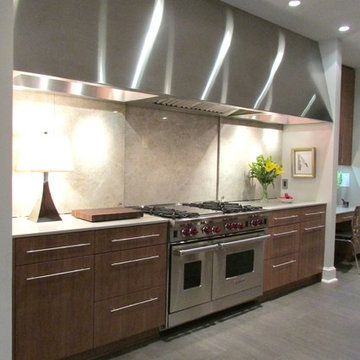 Contemporary Remodel
