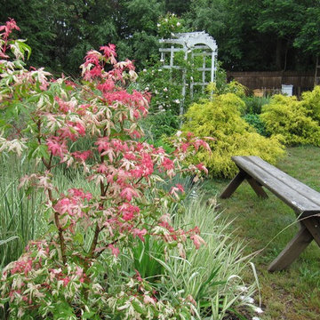 Garden Design