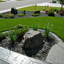 Front Yard Landscape