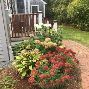 Foundation planting makeover