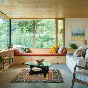 Steph's Moscow Magic