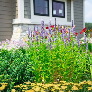 Transitional Landscape - Mequon, WI