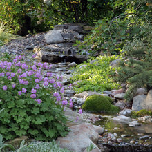 Landscape Ideas