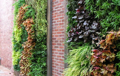 Higher Ground: 9 Ways to Create Height in Your Garden