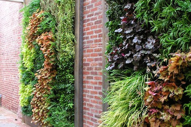 Contemporary garden in Philadelphia with a vertical garden.