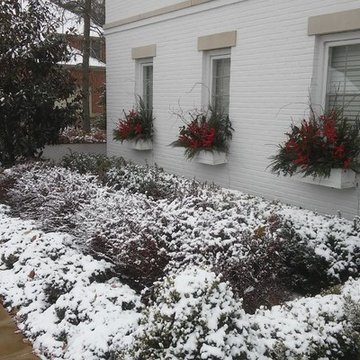 Planters & Window Boxes