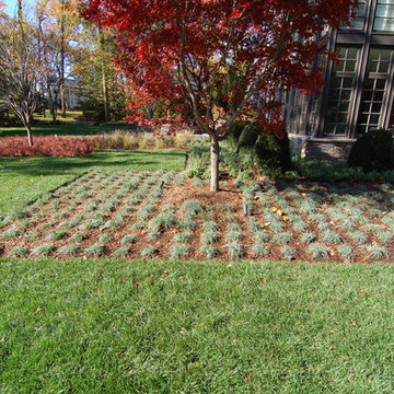 Planting Completed