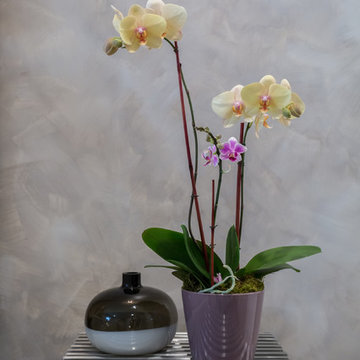 ARCHITECTURAL ACCENTS