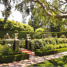Landscape - Southern style