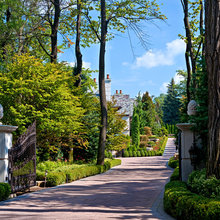 Landscape Ideas