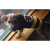 Heather Acheson's photo
