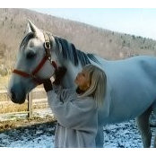 Carol SantaMaria Bohrerさんの写真