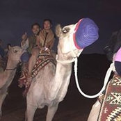 SanJay Grg's photo