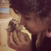 Nivitha Krishna's photo