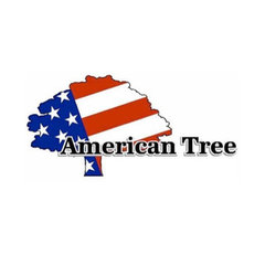 American Tree