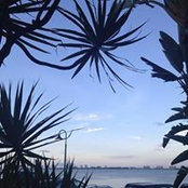 Kathe ZC's photo
