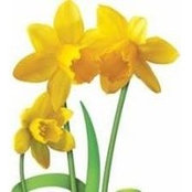Alison Gilligan's photo