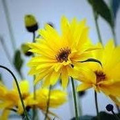 Foto von Delphine Gb