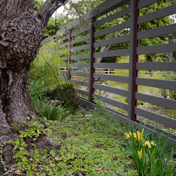Garden for a modern house