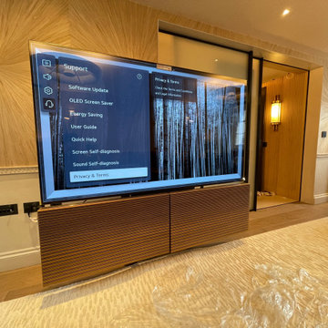 TV Bang Olufsen Harmony