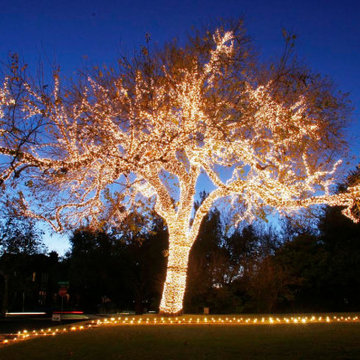 Call Us Today for Holiday Lighting Estimates