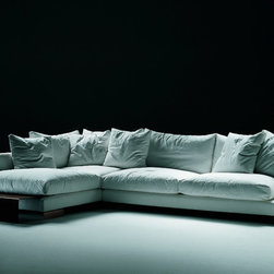 Flexform Sofas - Sofas
