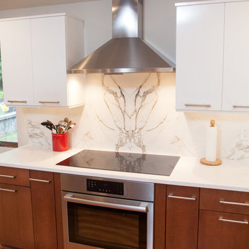 Contemporary Renovation