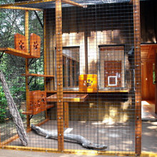 Catio