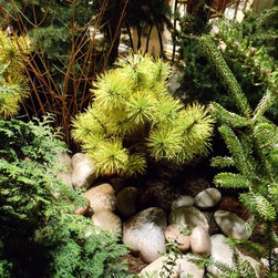 Gardens & Plantings - Outdoor Pots And Planters