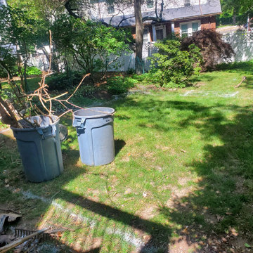 Shady back yard in Jamaica Plain