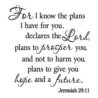 VWAQ for I Know The Plans I Have for You, Jeremiah 29:11, Bible Wall Decal #2 VWAQ-1926B