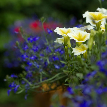 Entryway Gardens