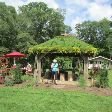 LIVE GREEN ROOF