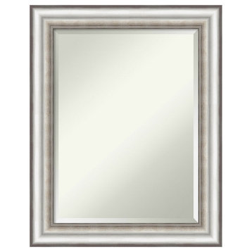 Salon Silver Beveled Wall Mirror - 23.25 x 29.25 in.