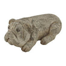bulldogs