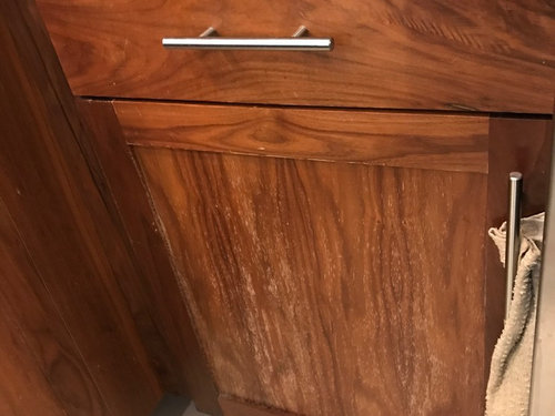 Need Advice On Fixing Worn Scratched Bathroom And Kitchen Cabinets