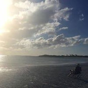 Bella Sandy's photo