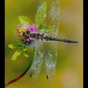 Karen Berezoski's photo