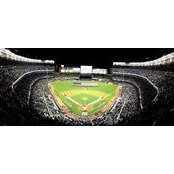 Brian Gregoire's photo