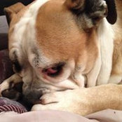 Clara Barlow's photo