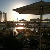 Peter Hoogerwoerd's photo