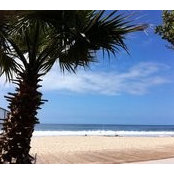 Joyce Tung's photo
