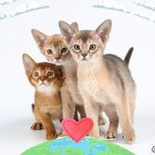 Анастасия Люленко's photo