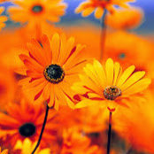 Jackie Romo's photo