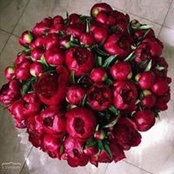 Foto de Наталья Александрова