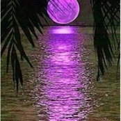 Gail Proite's photo